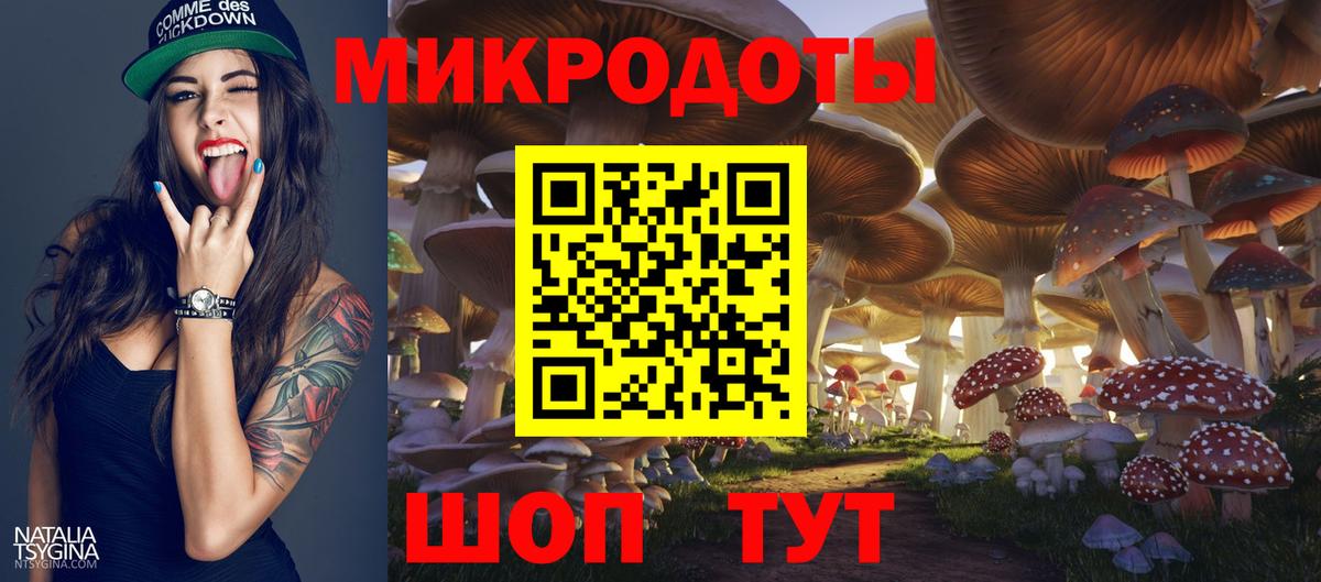 Галлюциногенные грибы GOLDEN TEACHER  Галлюциногенные грибы Psilocybe  Вход с VPN  Магадан 
